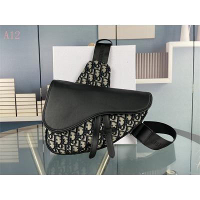 Dior Bags AAA 112